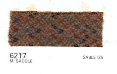 96-6217