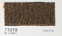 97-71019