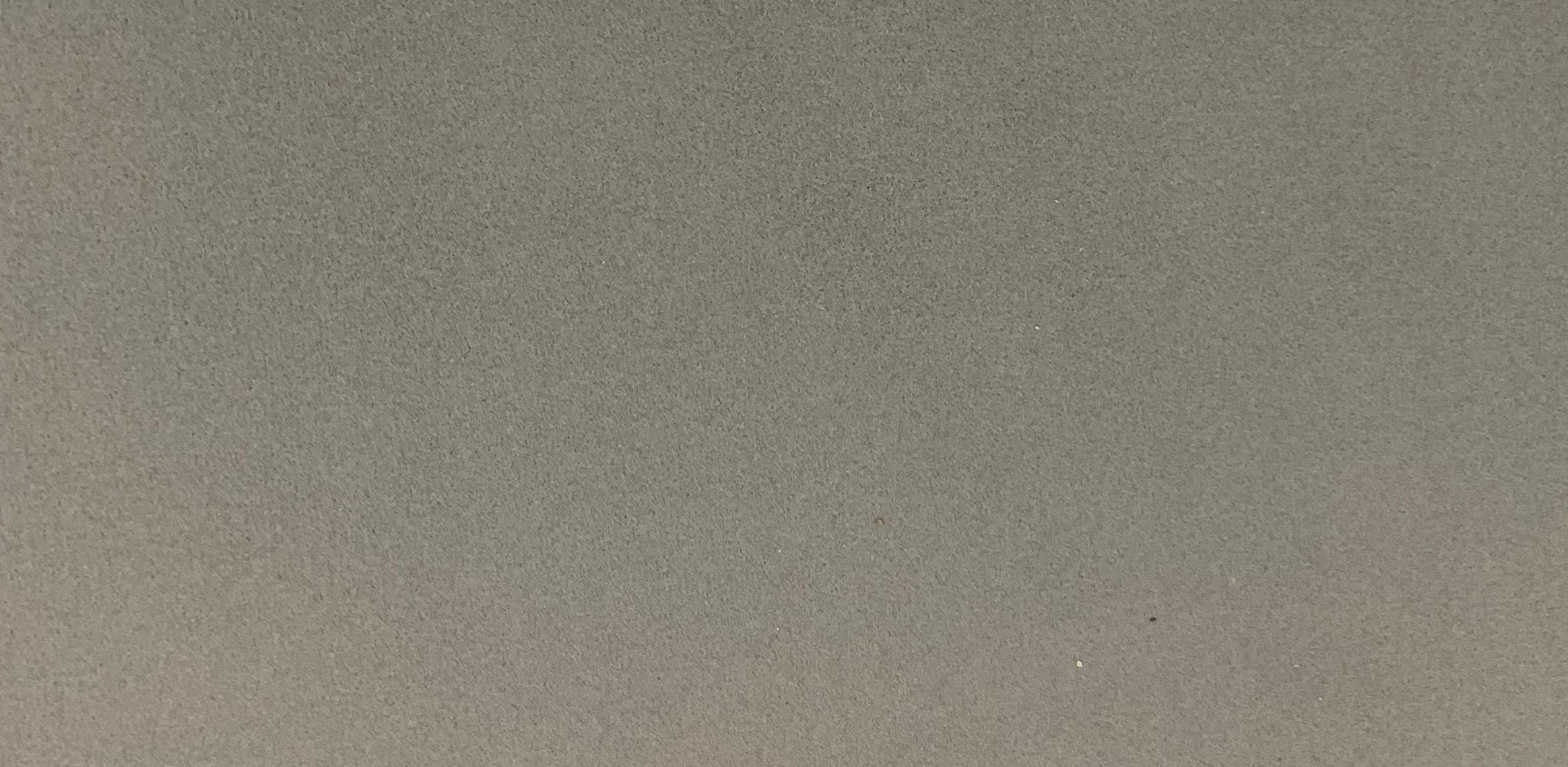 10-10429