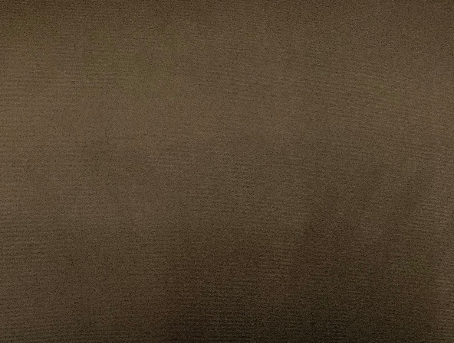 02-21019