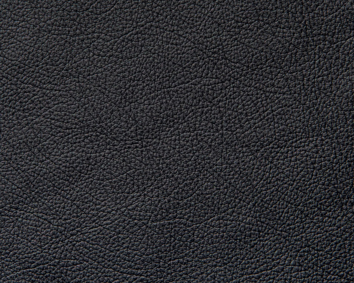 Leather - Black Ventura