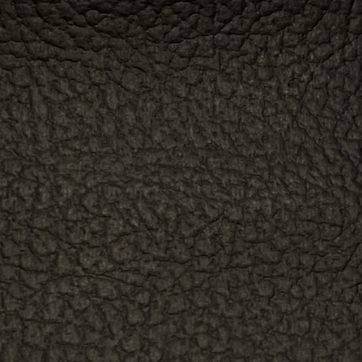 L7979 Santa Cruz Ebony