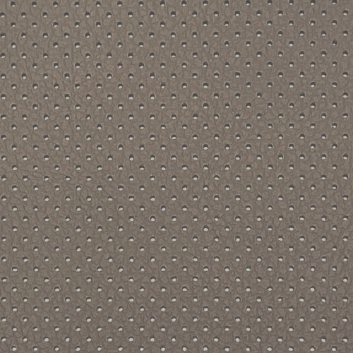 L-7981 Perforated