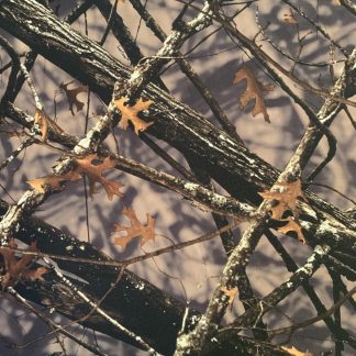 True Timber Lost Camo
